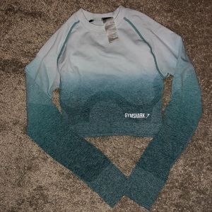 Gymshark Ombré Seamless Cropped Longsleeve